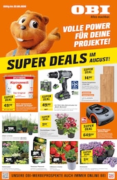 OBI Prospekt für Ringgau mit 4 Seiten OBI Prospekt "SUPER DEALS IM AUGUST!" für Ringgau, 4 Seiten, 15.08.2026 - 22.08.2026