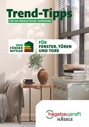 Häsele Baustoffhandel Prospekt für Fichtenberg: "Trend-Tipps FÜR DIE ENERGETISCHE SANIERUNG", 11 Seiten, 05.06.2024 - 14.06.2024