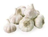 Bio Knoblauch Angebote von REWE Bio bei REWE Bocholt für 0,88 €