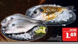 Aktuelle Fisch Angebote bei Marktkauf in Erlangen Aktuelles Dorade Angebot bei Marktkauf in Erlangen ab 1,49 €