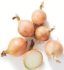 Oignon Jaune en promo à 1,89 € chez Supermarchés Match Oignon Jaune dans le catalogue Supermarchés Match
