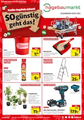 Aktueller Hagebaumarkt Prospekt "So günstig geht das!" mit 10 Seiten
