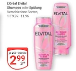 Shampoo bei GLOBUS im Prospekt "" für 2,99 €