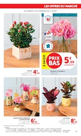 Promos Vase dans le catalogue "Super U" de Super U Vase en promo dans le catalogue Super U à la page 41