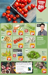 REWE Blumen im Prospekt 