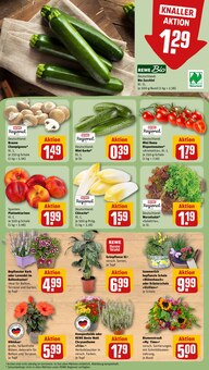 Gemüse im REWE Prospekt "Dein Markt" mit 28 Seiten (Düsseldorf)