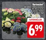 Hortensien Angebote bei EDEKA Regensburg für 6,99 €