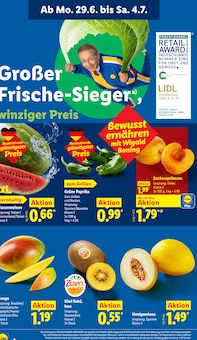 Paprika im aktuellen Lidl Prospekt (Rostock) Paprika im Lidl Prospekt "LIDL LOHNT SICH" mit 69 Seiten (Rostock)