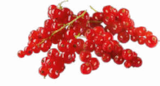 Netto Marken-Discount - Johannisbeeren rot Angebot im Prospekt Johannisbeeren rot bei Netto Marken-Discount im Prospekt "" für 3,49 €