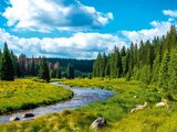 URLAUB IM BAYERISCHEN WALD im Angebot bei Netto Marken-Discount in Nürnberg URLAUB IM BAYERISCHEN WALD Angebote bei Netto Marken-Discount Nürnberg für 229,00 €