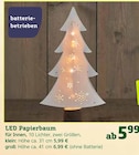 LED Papierbaum von  im aktuellen Pflanzen Kölle Prospekt für 5,99 €