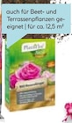 Bio Rosendünger für 6,49 € bei Hellweg im Angebot Bio Rosendünger im aktuellen Hellweg Prospekt
