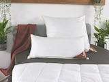 Kopfkissen Premium Ca. 40 x 80 cm Angebote von Häussling bei Lidl Rottenburg für 24,99 €