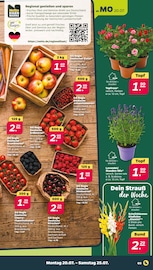 Lavendel im Netto mit dem Scottie Prospekt in Dresden Aktueller Netto mit dem Scottie Prospekt mit Lavendel, "Günstig. Besser. Für Dich.", Seite 3