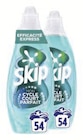 Lessive liquide Efficacité express - SKIP à 19,79 € dans le catalogue Carrefour