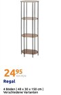 Regal von  im aktuellen Action Prospekt für 24,95 €