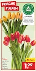 Aktuelle Blumen Angebote bei Netto Marken-Discount in Jena Aktuelles Tulpen Angebot bei Netto Marken-Discount in Jena ab 1,99 €