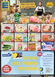 EDEKA Fleischkaese im Prospekt 