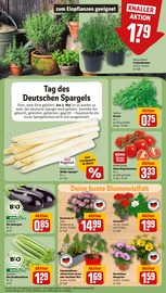 Ähnliche Angebote wie Stiefmütterchen im Prospekt "Dein Markt" auf Seite 7 von REWE in Nordhorn