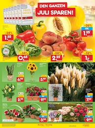 Dekoration Angebot & Preis im aktuellen Netto Marken-Discount Prospekt Dekoration Angebot im aktuellen Netto Marken-Discount Prospekt auf Seite 19