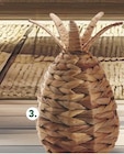 L’ANANAS DÉCO JACINTHE D’EAU dans le catalogue Stokomani