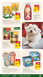 Fressnapf Smoothie im Prospekt Fressnapf Smoothie im Prospekt