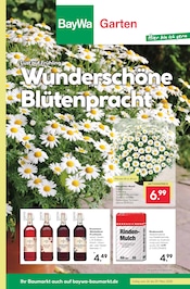 Aktueller BayWa Bau- und Gartenmärkte Prospekt mit Blumen, "Hier bin ich gern", Seite 1