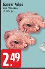 Ganzer Pulpo bei EDEKA im Bornheim Prospekt für 2,49 €
