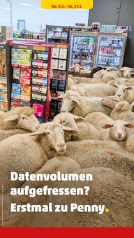 Teppich im Penny Prospekt "Wer günstig will, muss Penny." mit 42 Seiten (Würzburg)