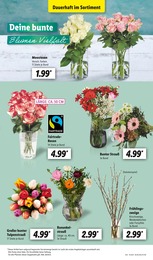 Pflanzen im Lidl Prospekt Pflanzen im Lidl Prospekt LIDL LOHNT SICH auf S. 5