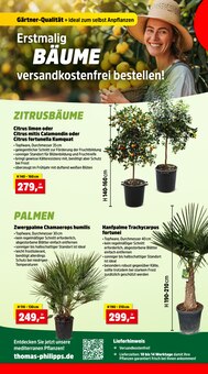 Grünpflanzen im Thomas Philipps Prospekt "Top Angebote" mit 16 Seiten (Saarbrücken)