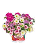 Hagebaumarkt Mainz - Beetpflanzen-Trio 'Confetti Garden' Angebot im Prospekt Beetpflanzen-Trio 'Confetti Garden' bei Hagebaumarkt im Mainz Prospekt für 8,99 €