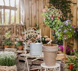 Terrassenstamm Angebot in Domsühl Terrassenstamm im aktuellen Prospekt bei BBM Baumarkt in Domsühl