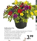 Angebot im Hellweg Suthfeld Prospekt Hellweg Suthfeld Prospekt mit im Angebot für 3,99 €