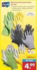 Mehrzweckhandschuhset im Angebot bei Netto Marken-Discount in Passau Mehrzweckhandschuhset Angebote von Priva bei Netto Marken-Discount Passau für 4,99 €