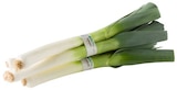 REWE Hainburg - Bio Porree Angebot im Prospekt Bio Porree bei REWE im Hainburg Prospekt für 1,99 €