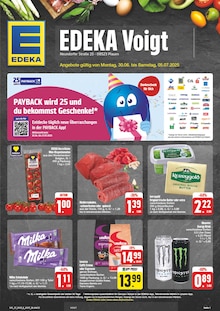 EDEKA Plauen Prospekt "Wir lieben Lebensmittel!" mit 52 Seiten
