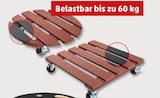 Penny - Pflanzenroller Angebot im Prospekt Pflanzenroller bei Penny im Prospekt "" für 5,99 €