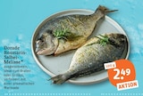 Aktuelles Dorade Rosmarin-Salbei-Melisse Angebot bei tegut in Wiesbaden ab 2,49 €