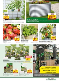 Rindenmulch Angebot im aktuellen toom Baumarkt Prospekt auf Seite 18