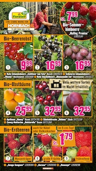Erdbeeren im Hornbach Prospekt "Ran ans PROJEKT. Es ist schon Pflanzzeit." mit 36 Seiten (Hamm)