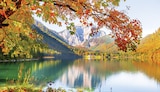 75” UHD-LED-Fernseher GU75U7079 von Samsung im aktuellen METRO Prospekt