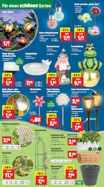 Aktueller Thomas Philipps Prospekt mit Tierbedarf, "Top Angebote", Seite 12