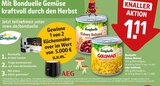 Aktuelles Kidney Bohnen, Goldmais Angebot bei REWE in Bergkamen ab 1,11 €