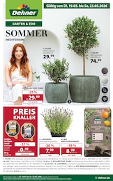 Dehner Garten-Center Prospekt für Elmshorn mit 16 Seiten Dehner Garten-Center Prospekt für Elmshorn: "SOMMER MEDITERRAN", 16 Seiten, 19.05.2026 - 23.05.2026