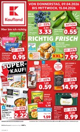 Kaufland Supermarkt Prospekt der aktuellen Woche mit 58 Seiten, gültig von 09.04.2026 bis 15.04.2026, in Bretzenheim und Umgebung Aktueller Kaufland Supermarkt Prospekt in Bretzenheim und Umgebung, "Aktuelle Angebote" mit 58 Seiten, 09.04.2026 - 15.04.2026