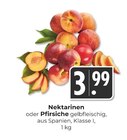 Hieber - Nektarinen Angebot im Prospekt Nektarinen bei Hieber im Prospekt "" für 3,99 €
