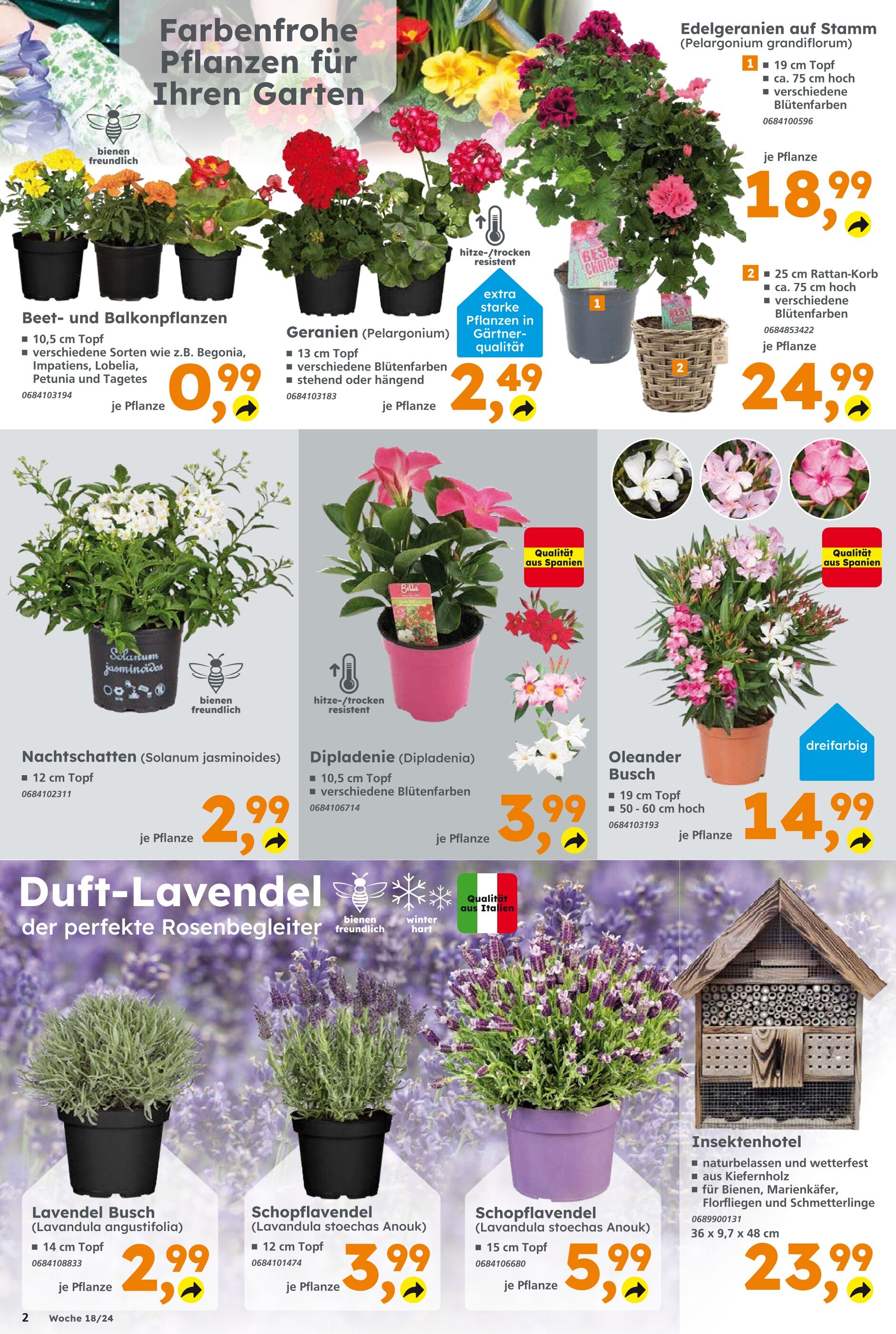 Penny-Markt Blumen Angebot ᐅ Finde den Preis im aktuellen Prospekt