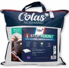Oreiller 'stop poux' 60x60cm - COLAS NORMAND - Hyper U à Caen Oreiller 'stop poux' 60x60cm - COLAS NORMAND en promo chez Hyper U Caen à 8,45 €