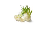 Aktuelles Fenchel, lose Angebot bei Lidl in Mannheim ab 1,99 €